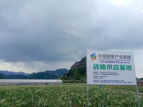 中膳集團蔬菜基地